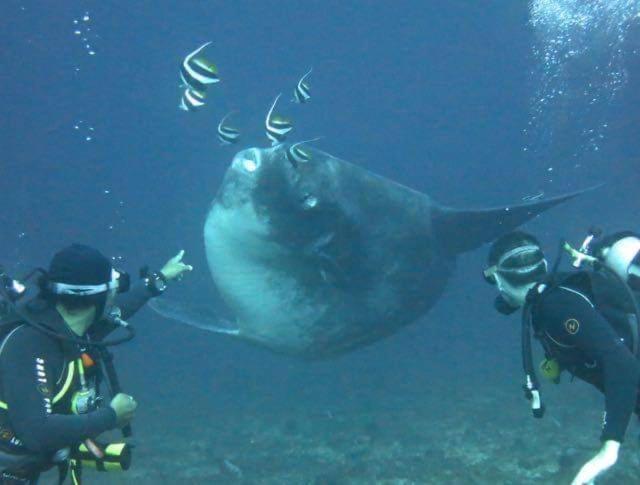 Pondok Bambu Resort - 5 Stars Padi Dive Centre จันดีดาซา ภายนอก รูปภาพ